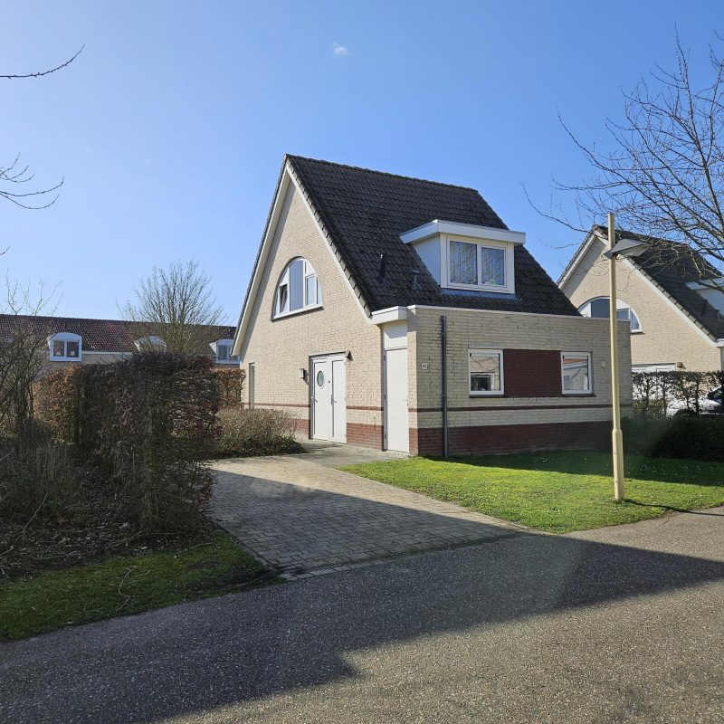 Afbeelding 5743
