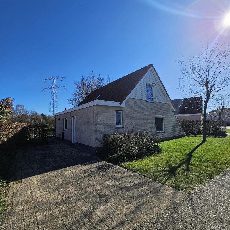 Afbeelding 5764