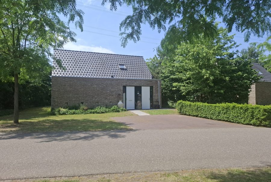 Afbeelding 5846