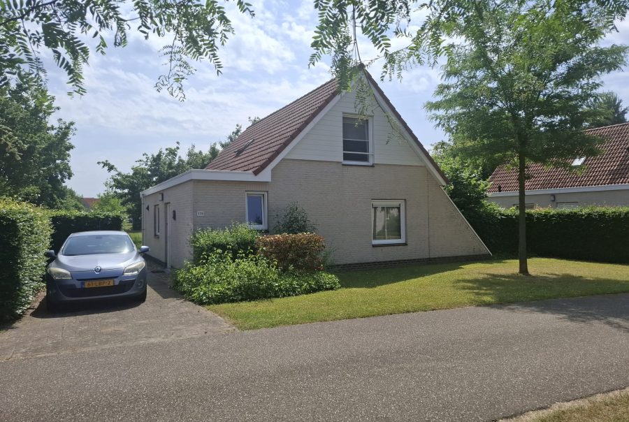 Afbeelding 5853