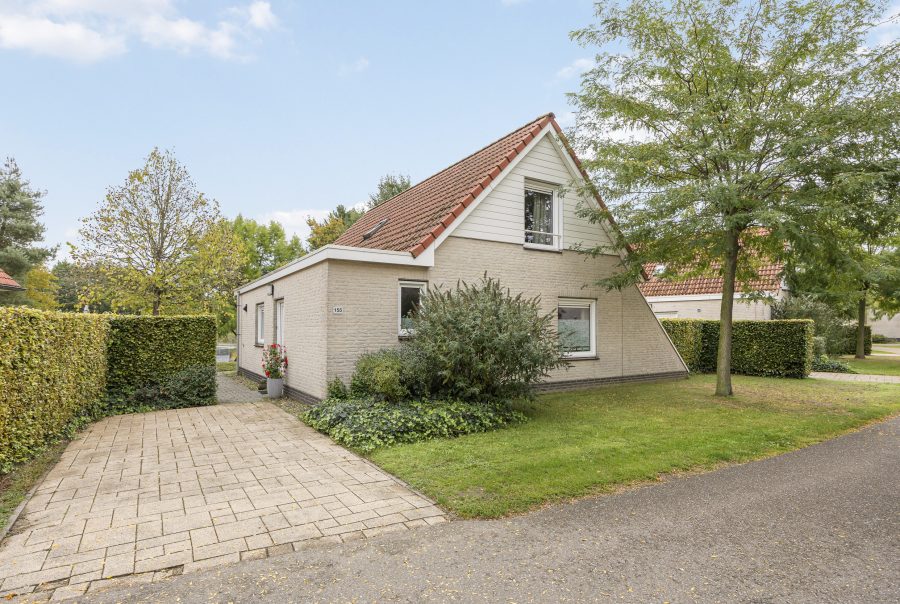 Afbeelding 6337